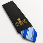 Blue Stripe Silk Tie in George Neale premium packaging